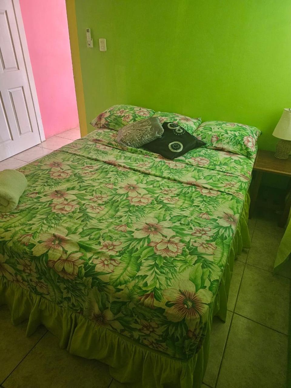 Fish Tobago Guesthouse Or Joy And Brandon Guesthouse Buccoo Rum bild